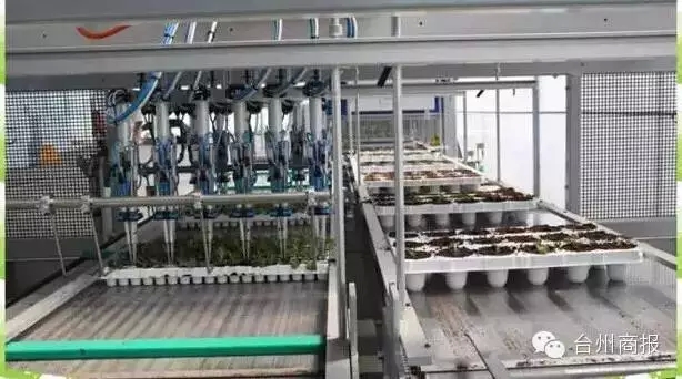 全程自動化無土栽培農(nóng)場臺州誕生了