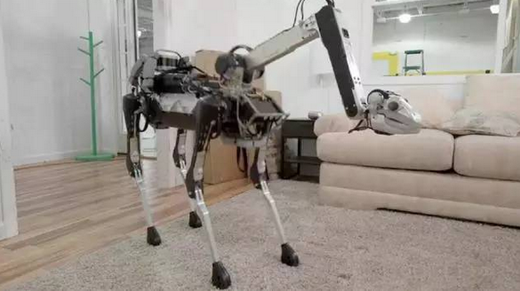 無人機(jī)之外的又一選擇：谷歌打算讓“狗”送快遞
