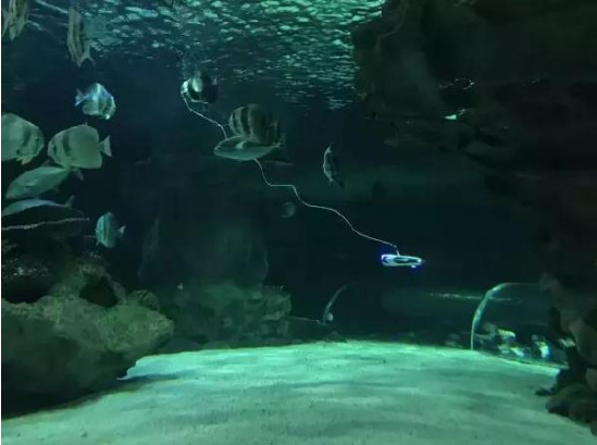 水下拍攝機器人來了，可水下拍照、攝影、尋魚、放釣鉤