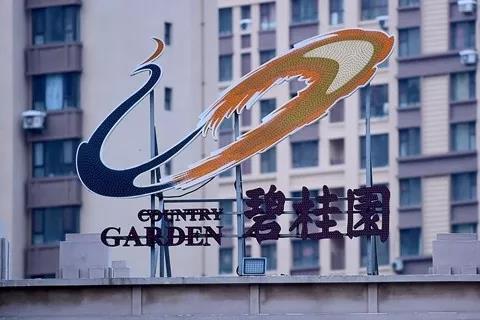碧桂園高層人事大變動 發(fā)力機器人、現(xiàn)代農(nóng)業(yè)業(yè)務